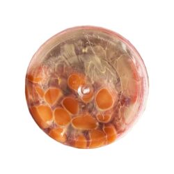 Kẹo dẻo làm đẹp da móng và tóc Nature’s Bounty Advanced Hair Skin & Nails Gummies 180 viên 13 keo deo lam dep da mong va toc natures bounty advanced hair skin nails gummies 180 vien 201225 kd