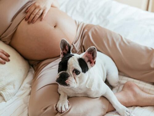 vien uong vitamin cho ba bau nordic naturals prenatal multivitamin 60 tablets 150426 kc